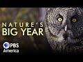 Natures big year full special  pbs america