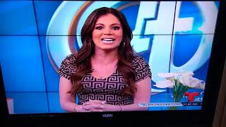 Acceso Total Host Armida Mier Acceso Total Host Armida Mier