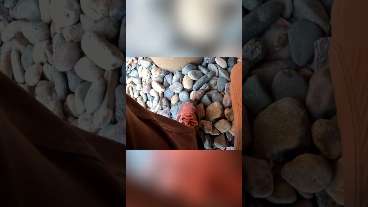 This Isn't a Rattlesnake