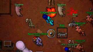 Rafael Roland lvl 56 Rookgaard trap Killing bot lvl  37, Apprentice Sheng