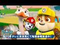 パウ・パトロール | パウ・パトロール:ラブルたちのどうぶつレスキュー!|1時間 | テレビ東京系にて放送中