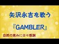 『GAMBLER』/矢沢永吉を歌う_364 by 自然の恵みに日々感謝