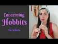 Como tocar “Concerning Hobbits” da trilha de O Senhor dos Anéis | Tin Whistle