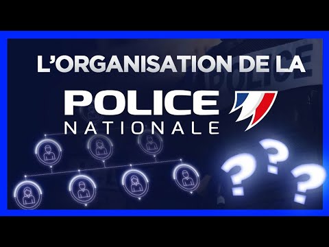 Vidéo: Comment sont organisés les services de police ?