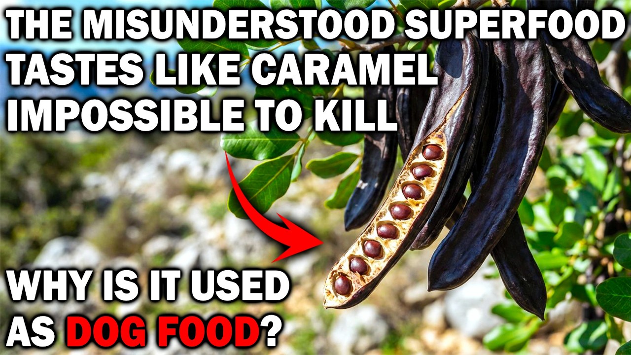 A Misunderstood Superfood. Tastes Like Caramel. More Calcium Than Milk. But It's Used For Dog Food?