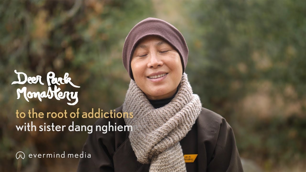To the Root of Addictions with Sister Dang Nghiem YouTube