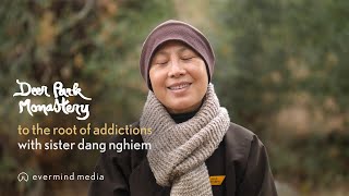To the Root of Addictions | with Sister Dang Nghiem