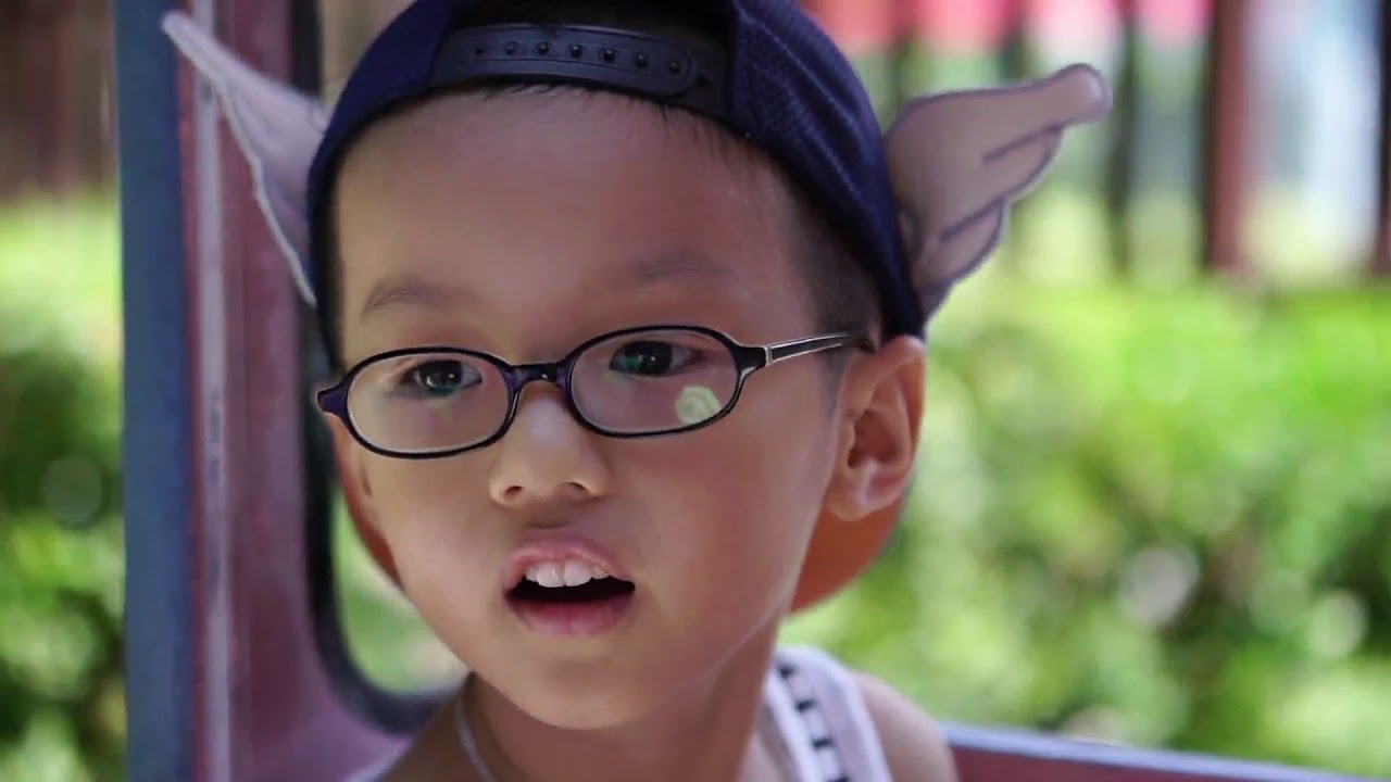 Ocean Park last summer visit 2017 YouTube