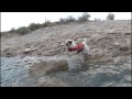 My Dog&#39;s epic water rescue!