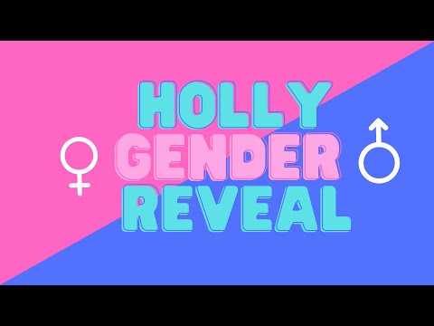 Holly Gender Reveal - How to tell if you have male holly or a female holly.