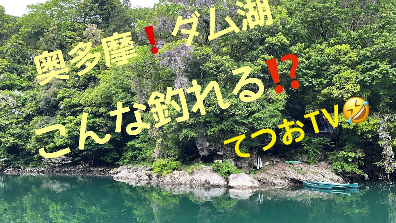 奥多摩❗️ダム湖で1091🤣