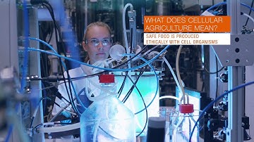 Cellular agriculture enables safe, ethical and sustainable food production
