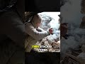 Creating a Cave with Fire — Primitive Survival 🔥  By @mrsulo