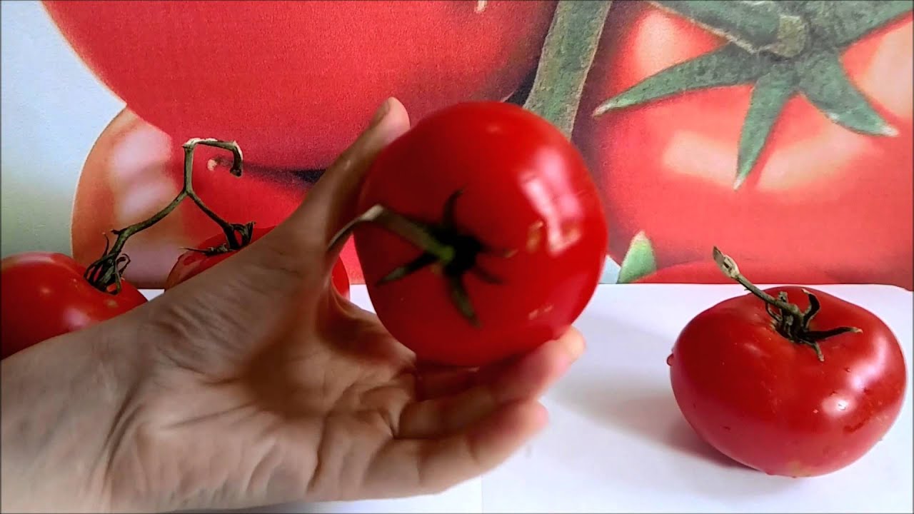Добрый f1 помидор. Томат добрый f1. Помидор Игидо. Доброе утро томаты. Томат добрый отзывы