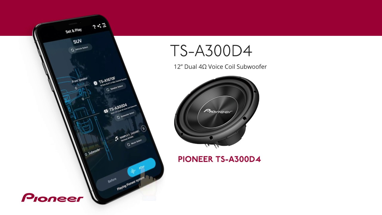 pioneer a300d4