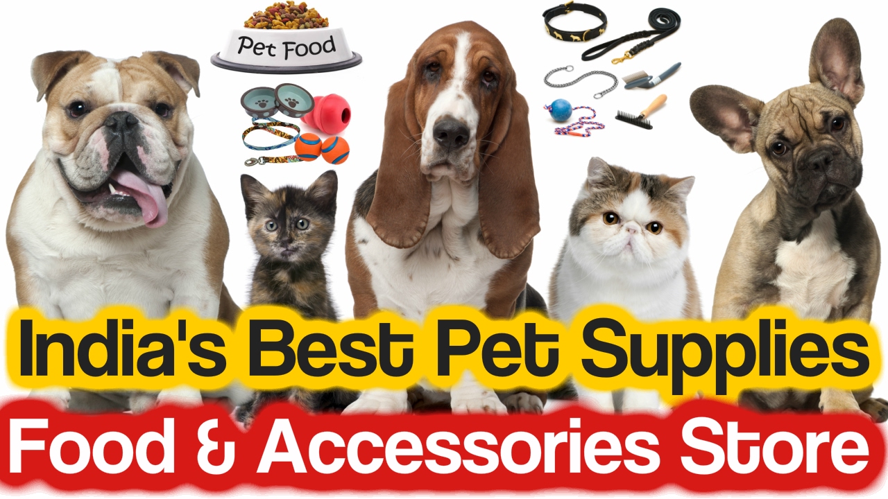 Good pets than dogs. Pet Supplies. Goody Pet. Buy Pet food. Best Pet products.