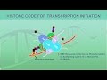 Gene Regulation and Chromatin Structure Quiz