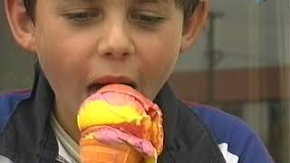 Deep South Icecream factory in 1999