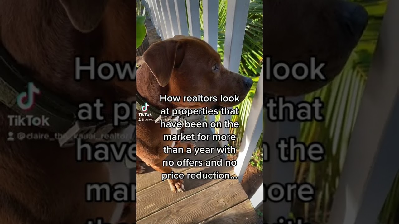 How Realtors Look at Properties that have Been on the Market for 1+ Years with NO Price Reduction