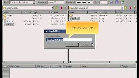 Managing your files and directories via Cute FTP