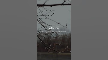 #القارئ عبدالرحمن مسعد | العنكبوت ٦٣