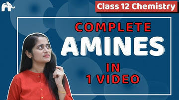 Amines| Class 12 Chemistry One Shot| NCERT Chapter 13 | CBSE NEET JEE