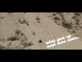 how well does an ARRMA Mojave tumble?