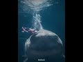 BeRealの使い方ってこれじゃねw