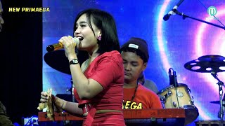 PESISIR BALONGAN - DEWI DEWDEW 'NEW PRIMAEGA' || LIVE,DS.KARANGANYAR, KEC.KEDUNGBANTENG-KAB.TEGAL