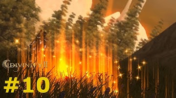 Fortuneteller and Necromancer | Divinity 2 Developers Cut [#10] | Nightmare difficulty