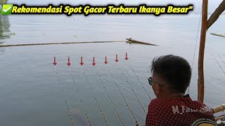 Rekomendasi Spot Gacor Terbaruikanya Besar Besar Spot Mancing Alam Liar Terbaru,Waduk Jatiluhur