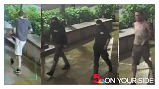Suspects wanted for damaging St. Louis police vehicles