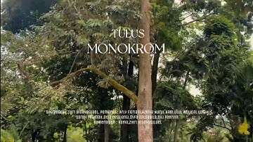 TULUS - MONOKROM (VIDEO CLIP COVER) XI MIPA 2 - Kelompok 1
