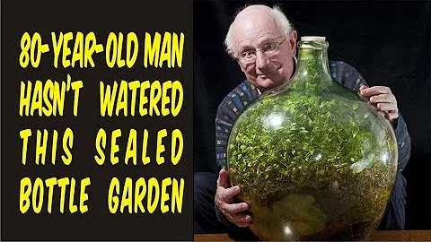 80-Year-Old Man Hasnt Watered This Sealed Bottle G...