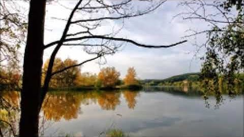 محمد صلاح نافع سورة الواقعة كامله