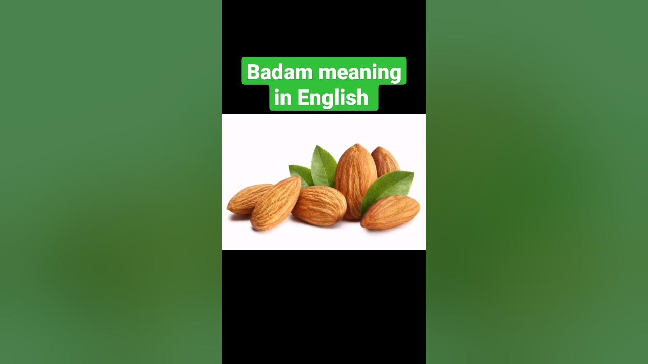 Badam meaning in English almond ytshorts shorts YouTube