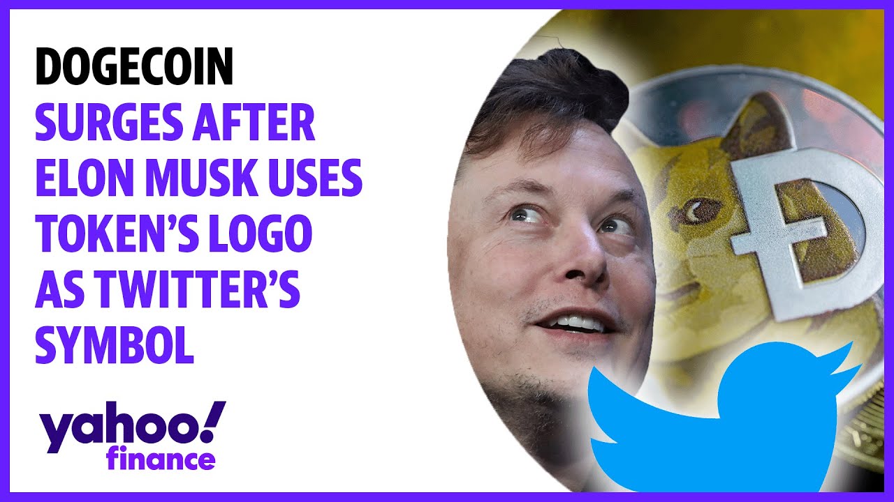 The Dogecoin price spikes after Elon Musk changes Twitter logo to ...