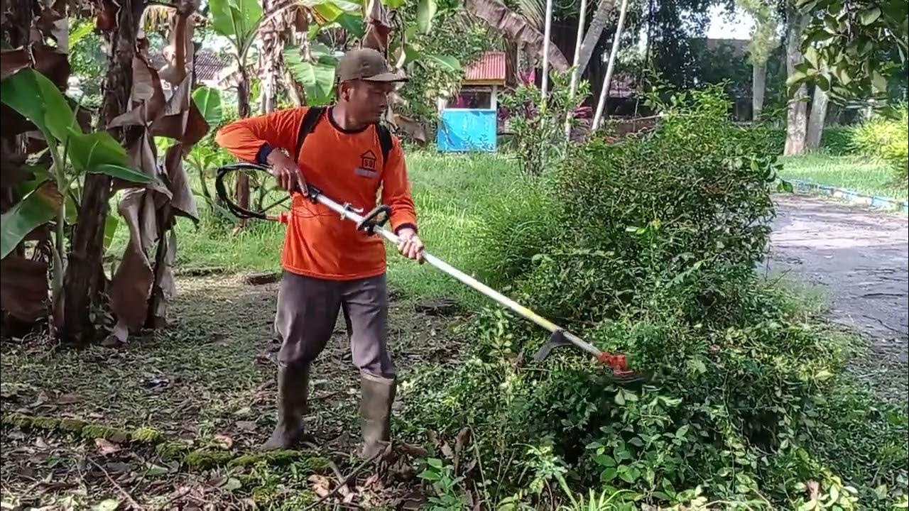 Memotong/membentuk bunga taman pake mesin potong rumput - YouTube
