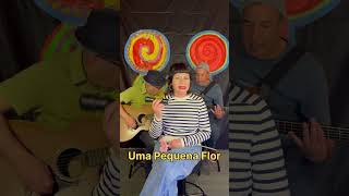 Vídeo de Uma pequena flor