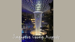 Singapore Changi Airport & Blossom Lounge