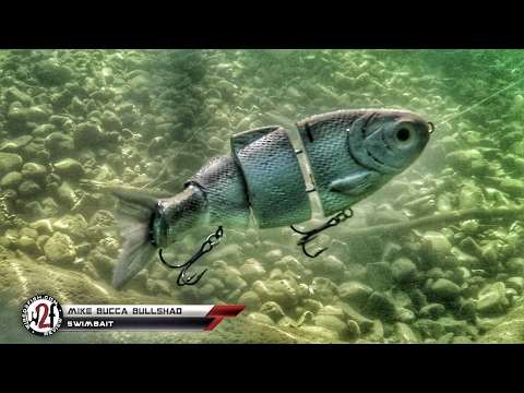 Bucca's Bull Shad Underwater Video 