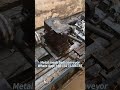 High-Temperature-Resistant Stainless Steel Mesh Belt Conveyor — Direct Manufacturer#Conveyor