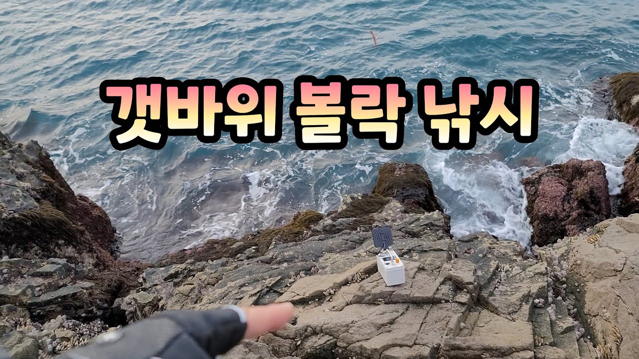 볼락 못잡으면 섬에서 안나오겠습니다 (전갱이는 보너스)