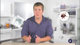 Question 10: What are the Common Tick Species that We Find on Dogs and Cats in Canada