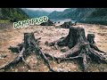 Instrumental hiphop sad forest boombap 90sdams prod