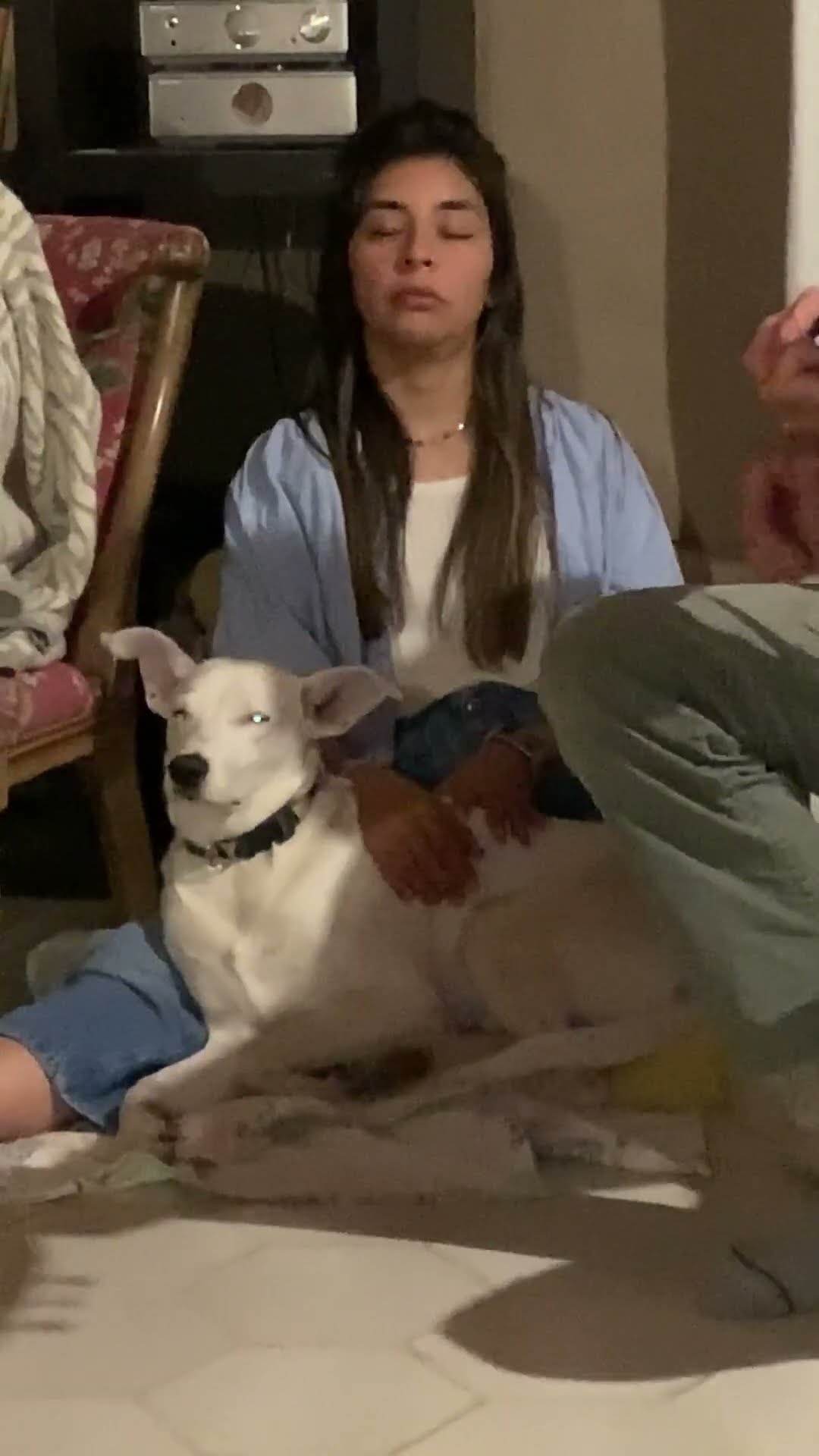 Dog and Owner Share The Same Vibe || ViralHog