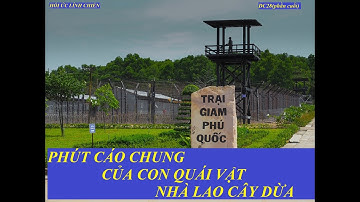 DC28(P12) PHÚT CÁO CHUNG CỦA CON QUÁI VẬT-NHÀ LAO CÂY DỪA(711)