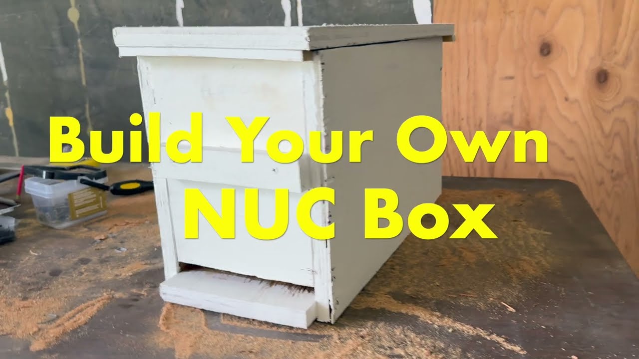 Building Nucleus (NUC) Box -5 Frame Nuc Box For Bees And Hive Splits - Dimensions In Description Box