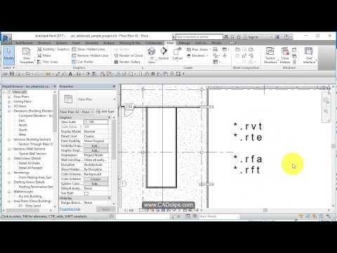 REVIT BASICS 03 REVIT FILE EXTENSIONS