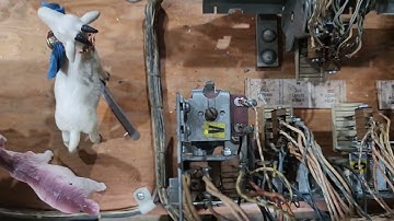 Repair & Troubleshooting Gottlieb With Schematics